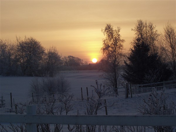 Vinter og forårs billeder