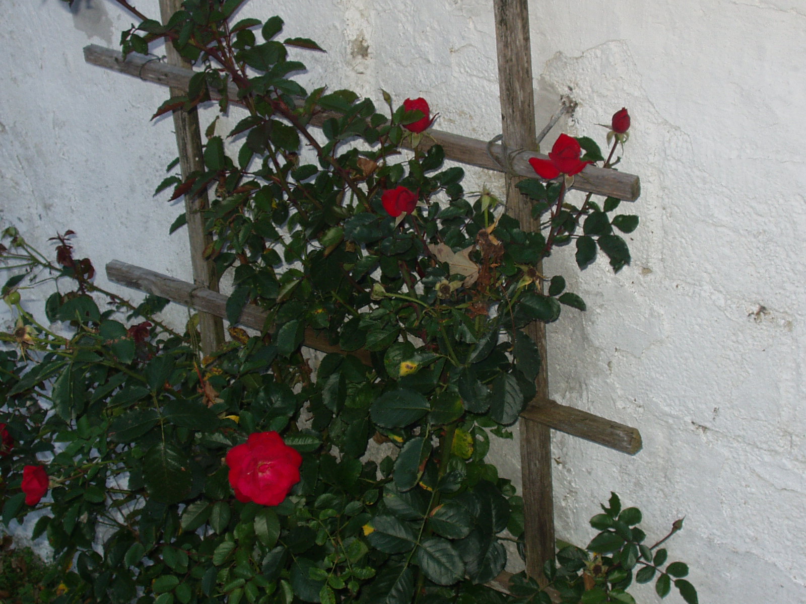 Stemningsbilleder