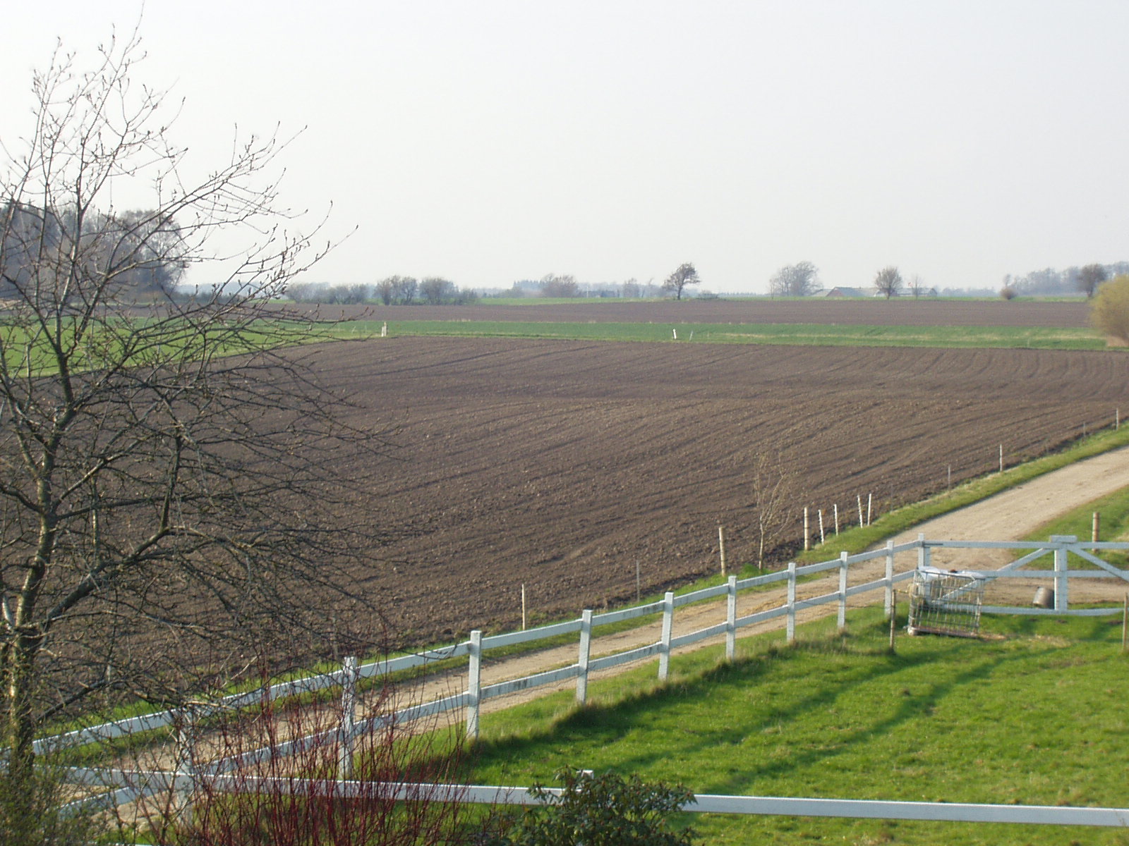 Stemningsbilleder